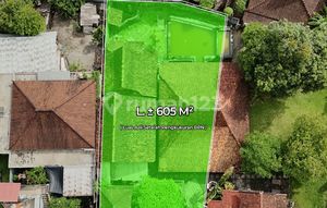 Land 605M2 with Bonus Wood Villa Building in Canggu
