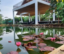 Quick Sale - Super Spacious 4,400 m² Villa - Hidden Gem in Bandung