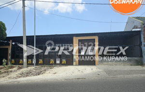 Disewakan Ruko Jln Veteran Fatululi Kupang