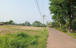 Subang, Dijual Tanah Kavling Cocok Untuk Bangun Pabrik Industri Atau Gudang