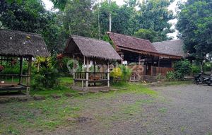 Dijual Tanah Plus Rumah Makan Jl Raya Ijen Banyuwangi Sudah SHM