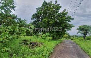Dijual Tanah Di Karangasem Bali.nego Sampai Deal