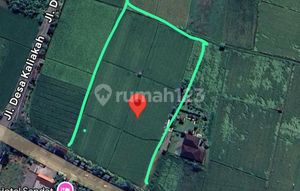 Land for Sale on Jl. Udayana, Desa Kaliakah, Negara, Kabupaten Jembrana, Bali