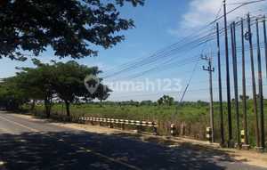 Dijual Tanah di Tuban nol jalan raya Tuban-Semarang Desa Margosuko kecamatan Bancar kabupaten Tuban