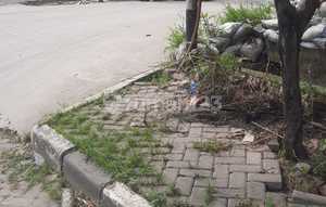 Kim Warehouse 2 Ready to Use