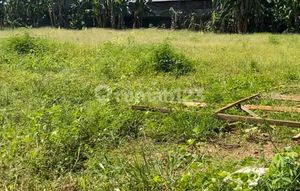 Disewa Tanah Luas 20x20m2 Di Jl.adyaksa Baru Komp Ruko Cempaka Blkg Ruko Crmpaka Luas 400m2 Jual Hatga 6,9M 