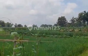 Dijual Tanah Strategis Pinggir Jl.raya Purwosari Padangan, Bojonegoro