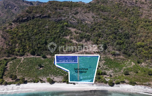 For Sale Land Phoenix Beach, Scar Reef, Jelenga, Jereweh, Sumbawa