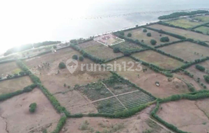 DIJUAL TANAH LOKASI PREMIUM DI TUA NANGKA – SUMBAWA