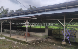 Affordable Business Space, Mandiri Asset, Serdang Bedagai Regency, North Sumatra Province