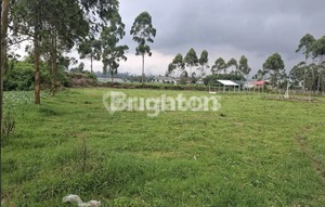 Lahan Strategis 4.890 M², Surat SHM, Ideal untuk Investasi