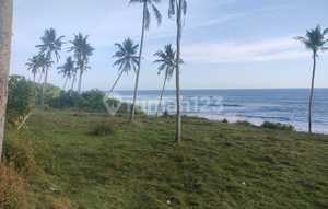 Tanah Full View Sunset, Los Pantai Balian Surfing