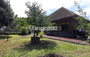 For sale large house and extensive land in Jember City, East Java.