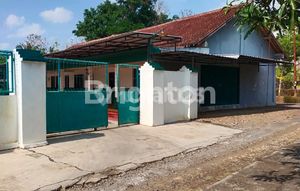 JUAL CEPAT RUMAH DAN LAHAN TERNAK BURUNG PERKUTUT DI PURWOREJO