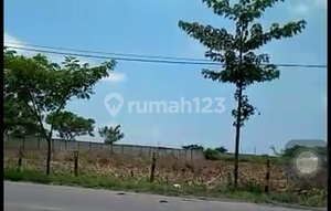 Dijual Tanah Nol Jalan Raya Murah Daerah Tuban Jawa Timur