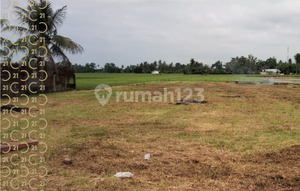 Dijual Tanah Kavling di Suka Damai Sei Bamban Serdang Sumatera Utara