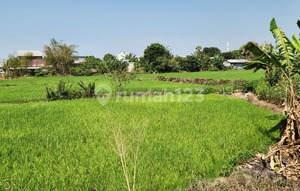 Lelang Tanah Kosong, Gowa, Sulawesi Selatan