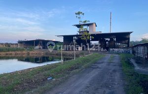 Gudang Luas Tanah 4 Ha di Tanjung Bintang Lamsel