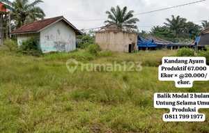 Kandang Ayam Produktif. bisa Dijual Lepas bisa Kerjasama.