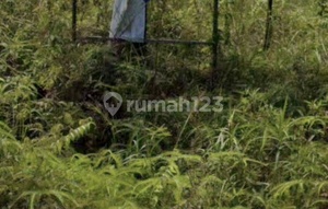 Martapura Kalimantan Selatan Cck U Pergudangan