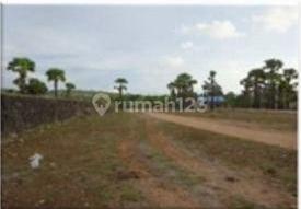 Greater Timor, Oebelo Sub-District, Central Kupang, East Nusa Tenggara.