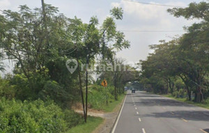 Tanah di Raya Tuban - Babat Kawasan Industrial