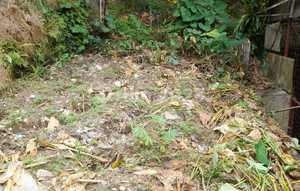 Land for sale behind TB. Wahana Maju building supply store.