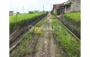 For Sale: Land with Swiftlet Building Bonus, Located in Rawajitu, Menggala, Tulang Bawang, LAMPUNG