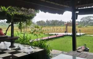 Resto Sawah Indah Ubud Strategis