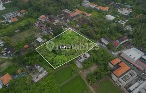 Disewakan Tanah 3.445 M² Dekat Pantai Saba, Zona Pariwisata