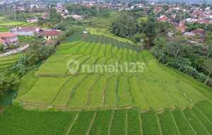 Tanah Sawah Kebon Suuk Cicalengka
