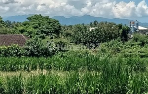 Land for Leasehold close Komune Beach Club Bali