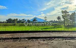 Tanah Sleman SHM Jl. Pandowoharjo Utara Resto Jejamuran 