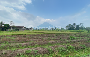 Affordable Land in Jogja, North SHM, Jejamuran Restaurant