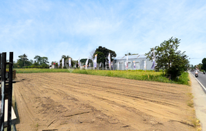 5 Menit Jejamuran Tanah SHM Tepi Jl. Pandowoharjo 