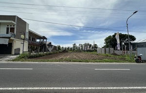 Strategic Plot Mangku Main Road Pandowoharjo