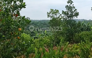 Cocok Villa, Tanah di Jl. Suka Maju, Lembah Damai: View Cantik