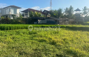 Disewakan Tanah Lokasi Strategis di Ubud Tampaksiring