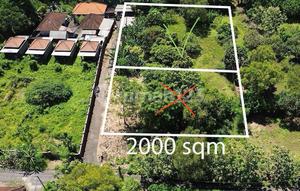 Leasehold Land In Nyang-nyang Pecatu 10 Are
