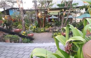 For Lease Business in Nusa Dua at Silicon Food Park, Jl. Siligita, Benoa, South Kuta, Badung, Bali, Indonesia, 80361, Nusa Dua