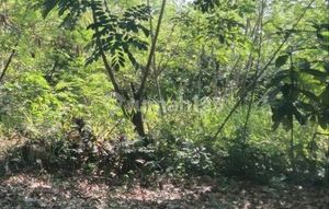 Land 200M² in Sukajadi, Batam Centre, Batam Strategic Location