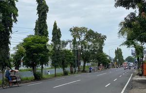 Dijual Tanah Tepi Jl Provinsi Dalam Kota. Dekat Rstpn Unej