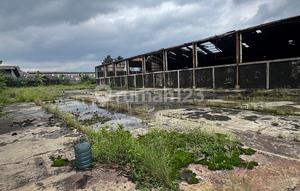 For Sale Ex Factory in Citeureup Bogor