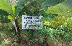 Dijual Tanah Strategis Dekat Exit Tol Ngawi