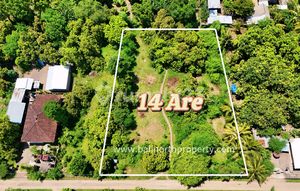 Land For Sale In Central Pemuteran North Of Bali