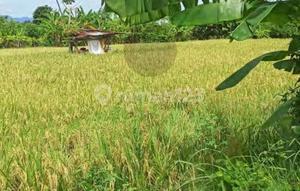 Ready to Build Plot in Buleleng, Bali