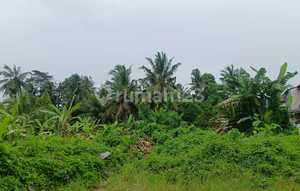 Land For Lease - In Center Ubud River Side