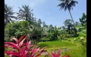 Tanah Warung Menteng, Caringin/Cijeruk Bogor Cocok untuk Cafe & Resto atau Rumah Kebun