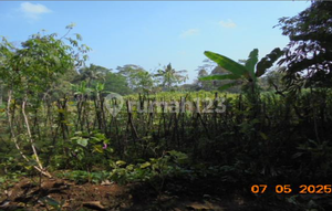 Land for Sale Jumantono