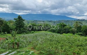 Tanah kebun jambu kristal seluas 19000m².dekat ke pintu toll sukabumi